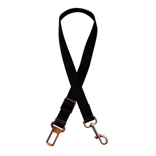 Dog seat belt restraint clipped to car buckle