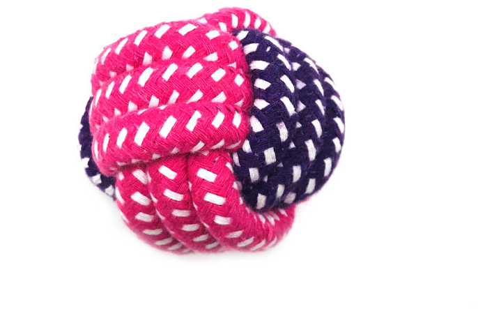 Value bundle of dog rope chew toys