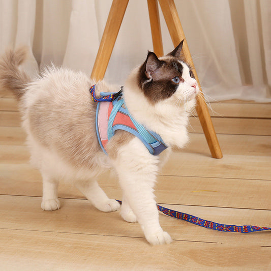 Cat wearing blue and pink Anti-Escape Reflective Cat Harness with lead indoors