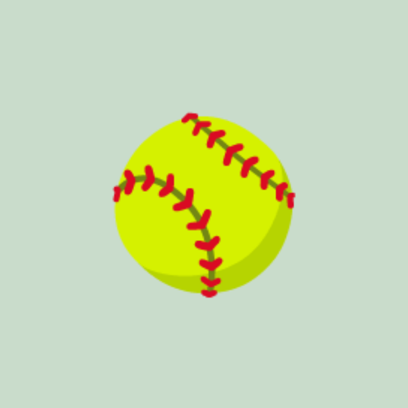 Puzzle Feeder Ball