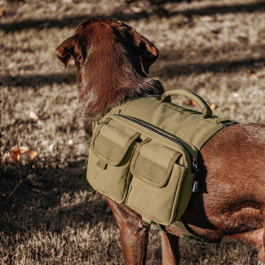 Adventure Saddle Bag Backpack for Dogs