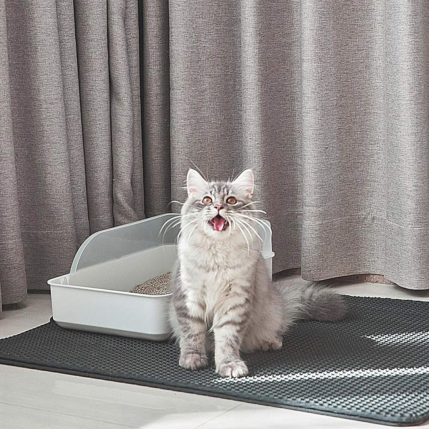 Honeycomb Double-Layer Cat Litter Trapping Mat