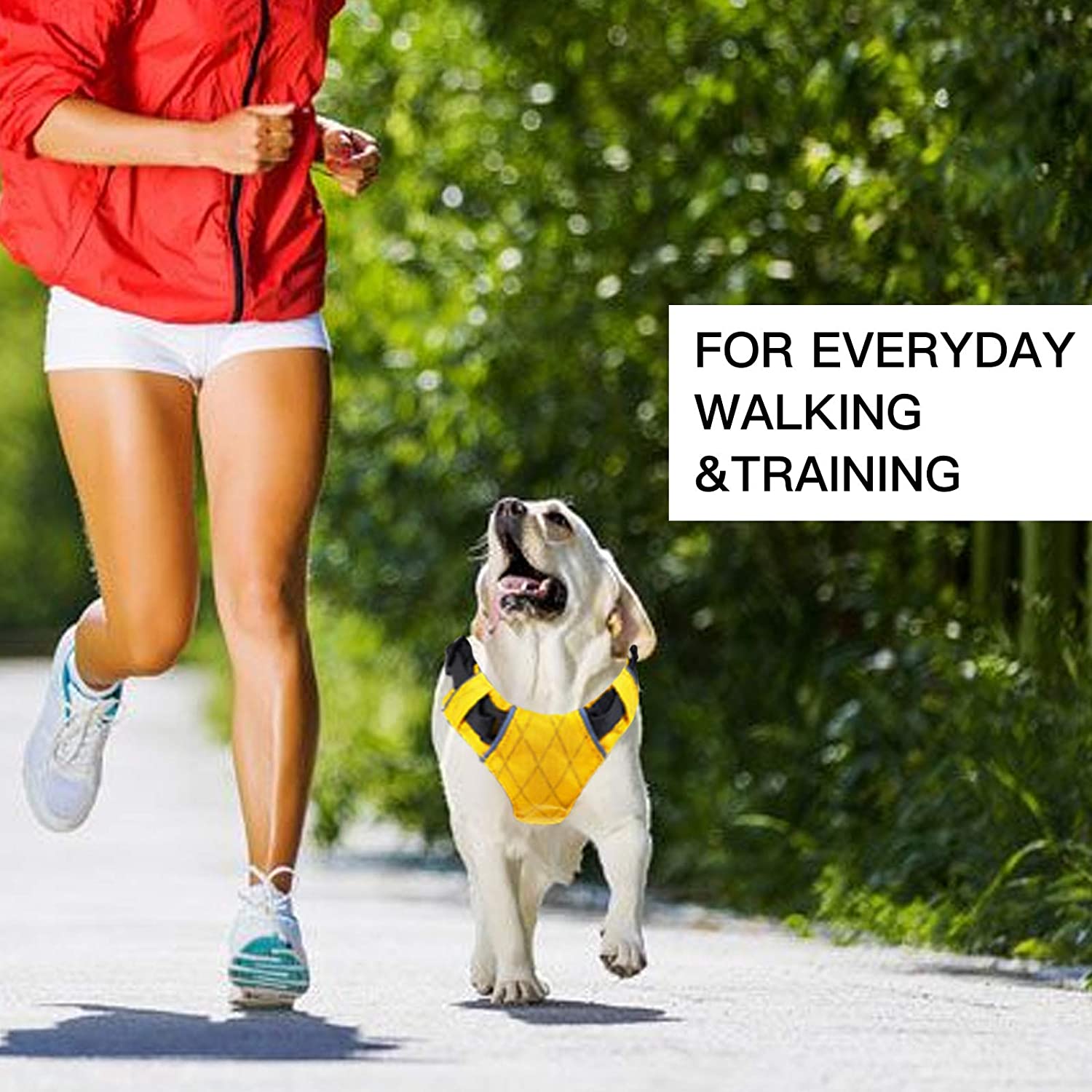 All-Weather Trail Harness - colour options Black, Purple, Yellow