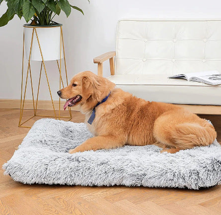 Deep plush dog bed with raised bolstered sides