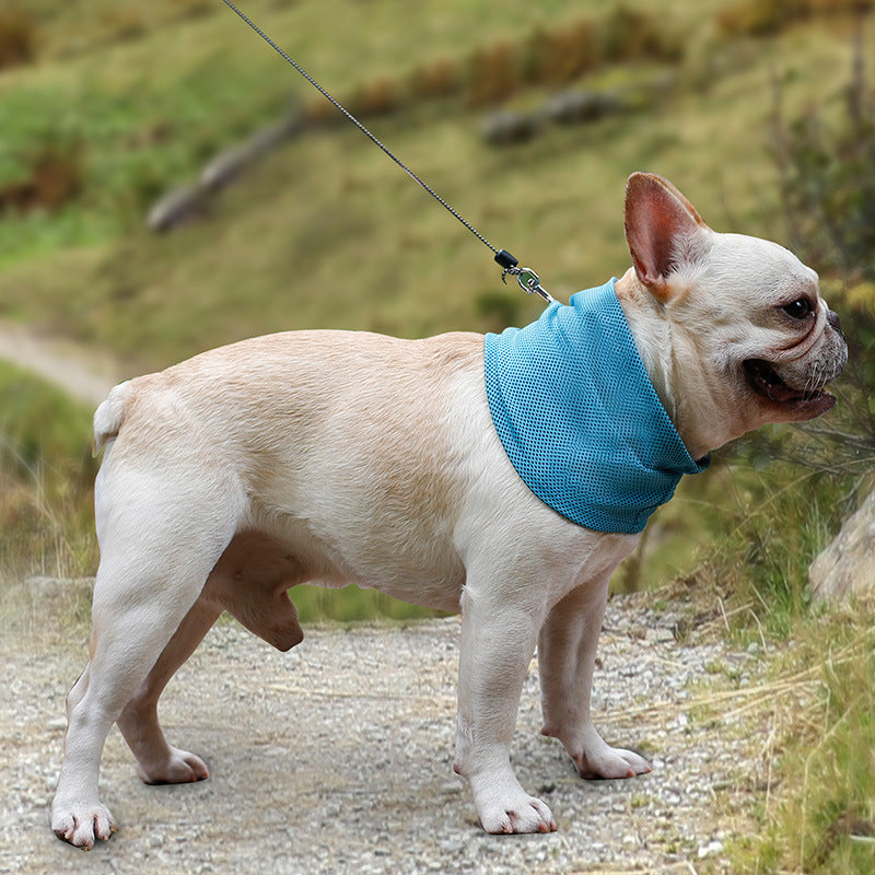 Cooling neck scarf for dogs in summer