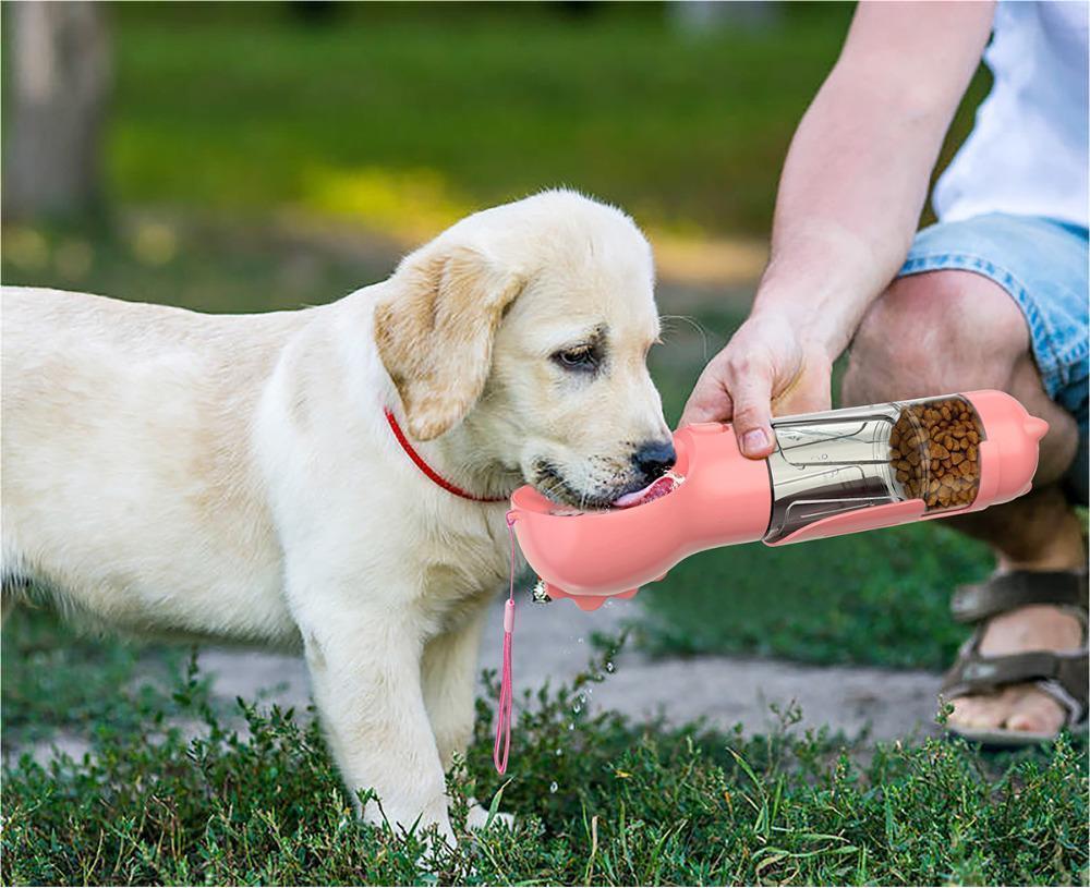 3-in-1 portable travel water bottle for dogs