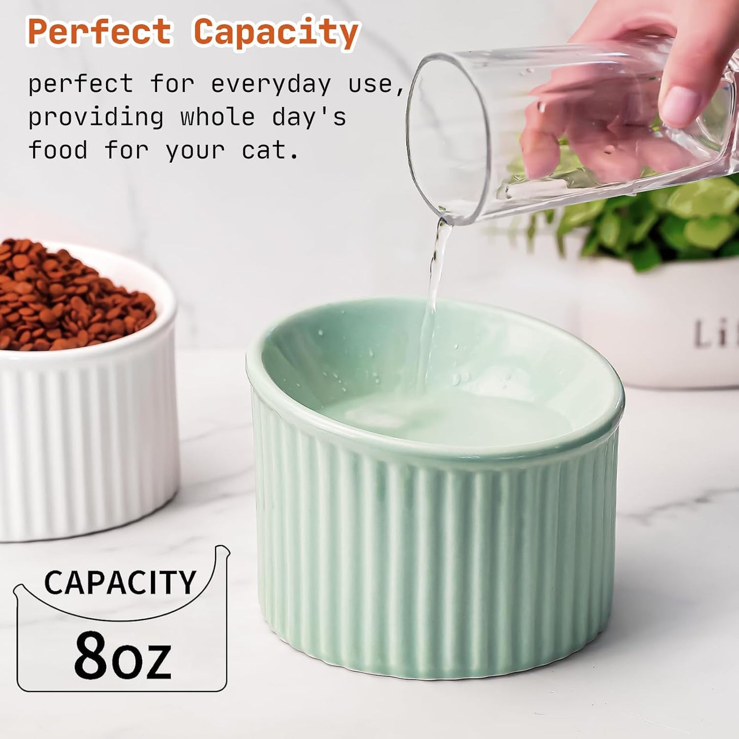 Whisker-friendly wide ceramic cat bowl