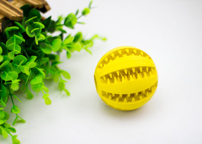 Rubber Treat-Dispensing Ball for Dogs - lifestyle photo