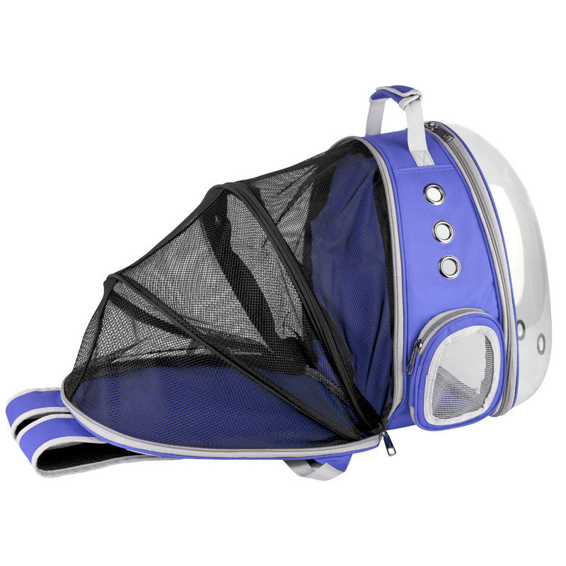 Cat inside bubble backpack carrier