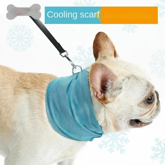 Dog wearing an evaporative cooling bandana on a walk