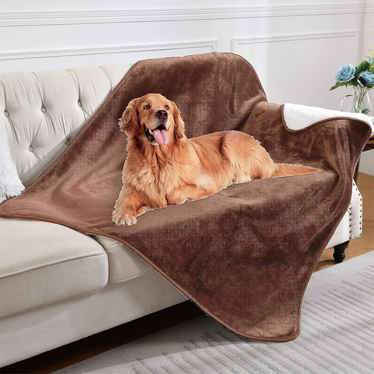 Dog resting on soft sherpa waterproof blanket