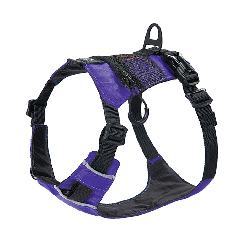 All-Weather Trail Harness - front-clip attachment point