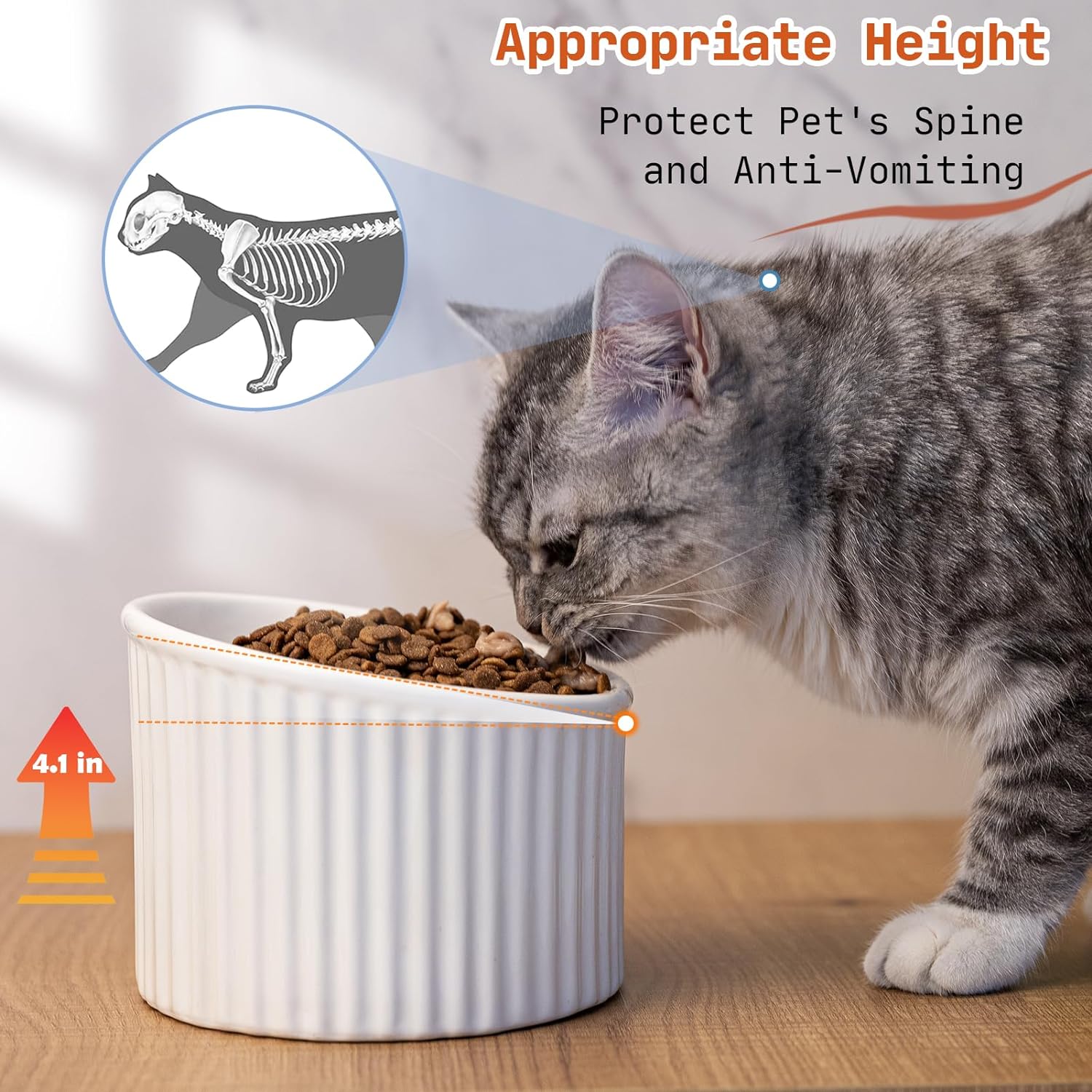 Cat eating from an elevated tilted ceramic bowl