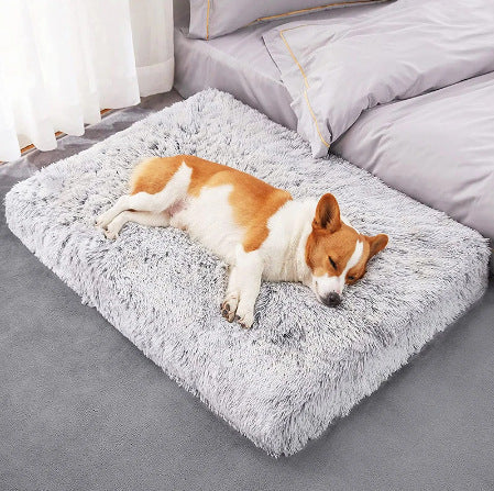 Calming plush memory-foam pet bed deep-sleep dog and cat sofa bed