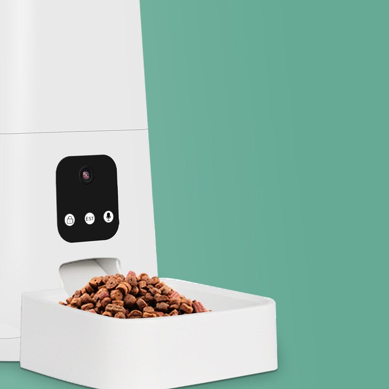 Automatic cat feeder dispensing kibble