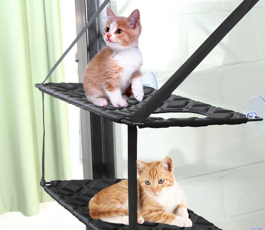 Cat window hammock installed