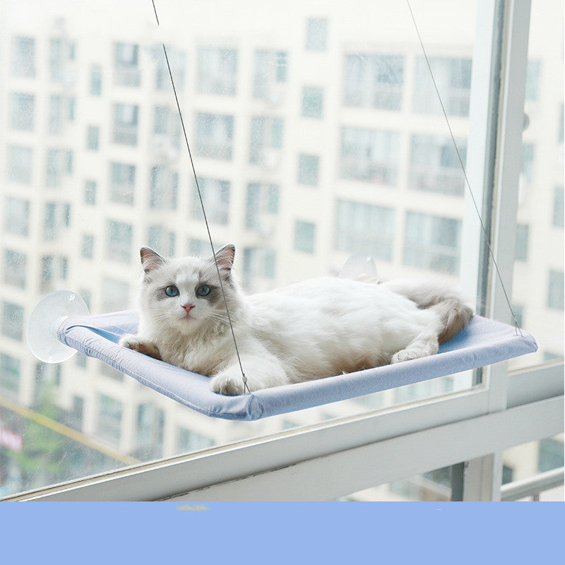 Suction-cup cat window perch mounted on glass