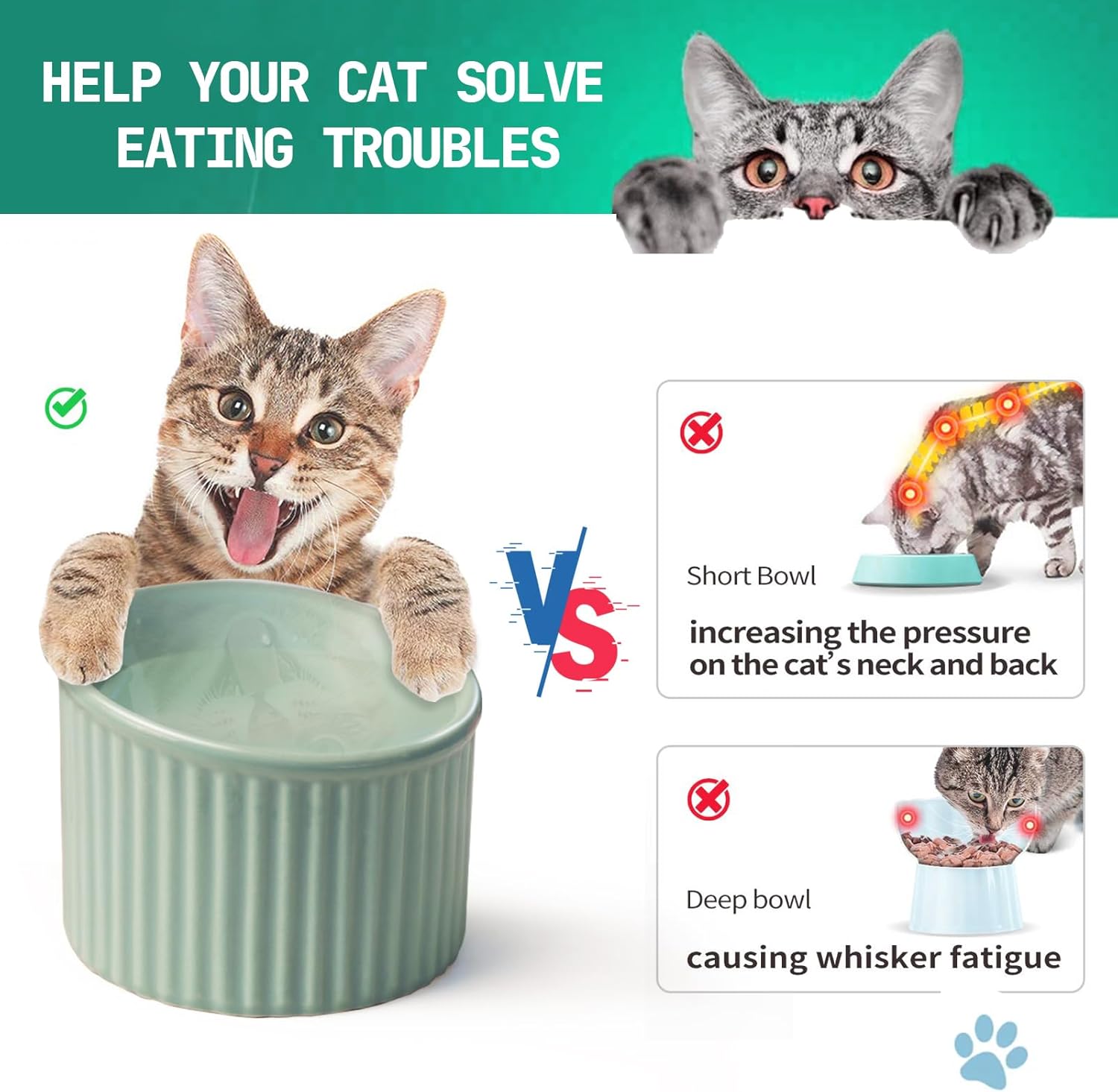 Anti-vomit elevated ceramic bowl for cats and small dogs