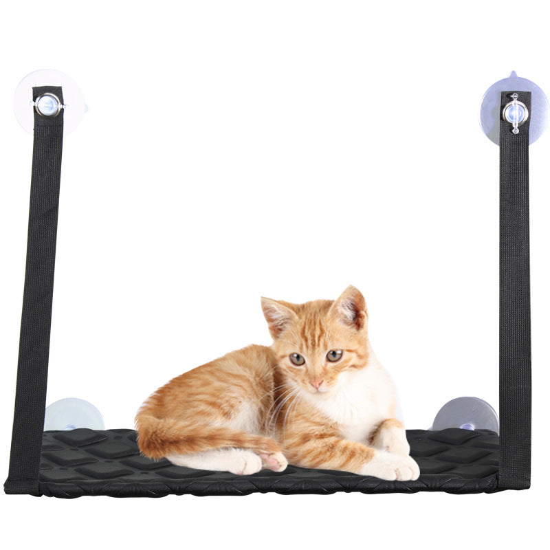 Cat window hammock suction cup detail