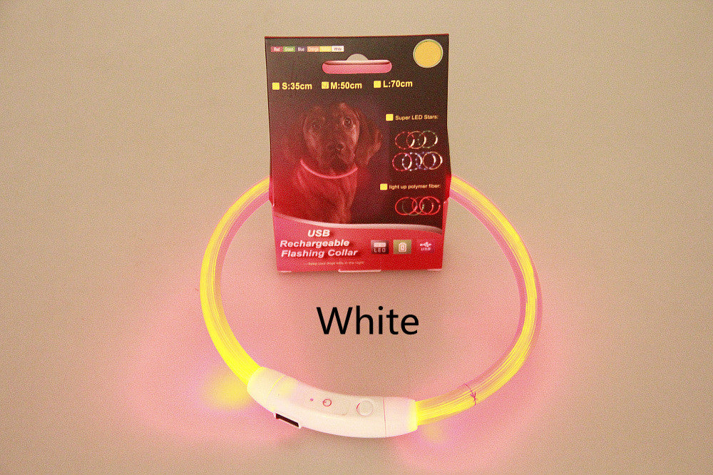 USB Rechargeable LED Safety Collar for Dogs
