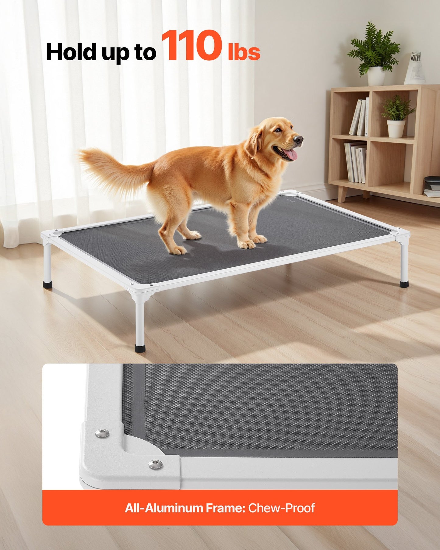 Breathable mesh surface of elevated pet cot for airflow