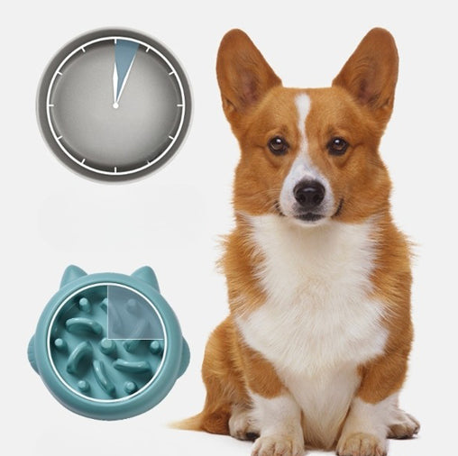 Dog eating from slow feeder bowl