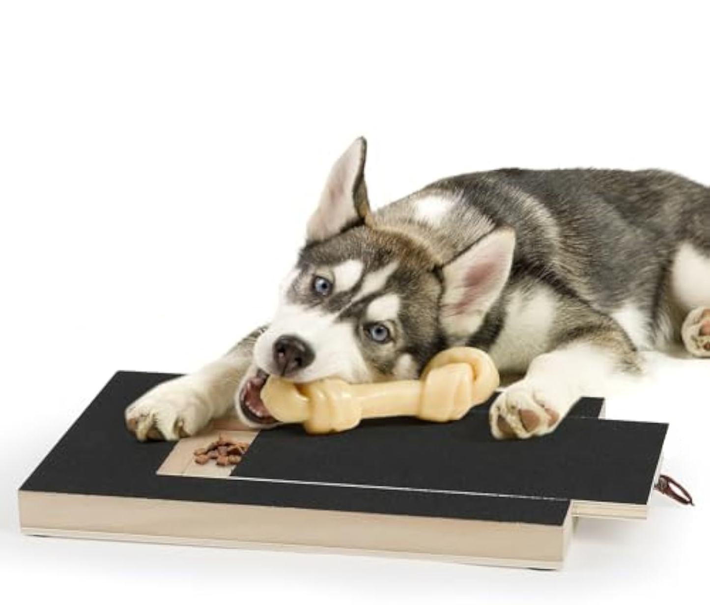 Pawventure dog nail scratch board with treat drawer for self-filing