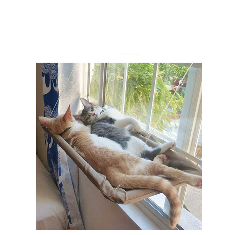 Cat relaxing on a window-mounted hammock sunbed