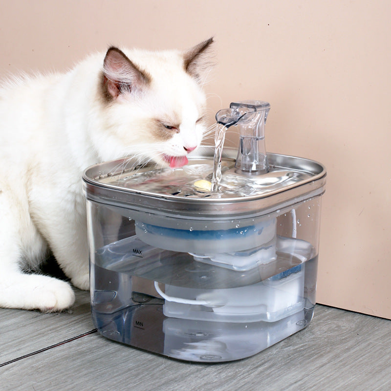 Pawventure stainless steel pet water fountain for cats and dogs