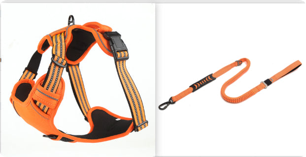 No-Pull Reflective Dog Harness - worn by small dog