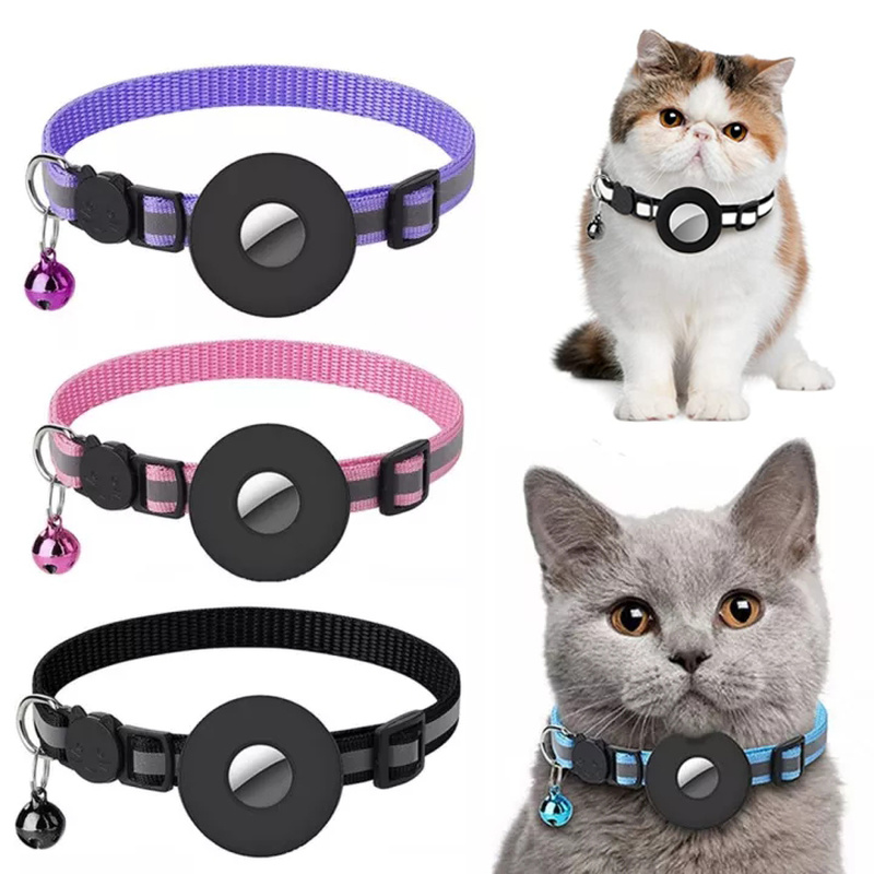 Reflective AirTag safety collar on dog
