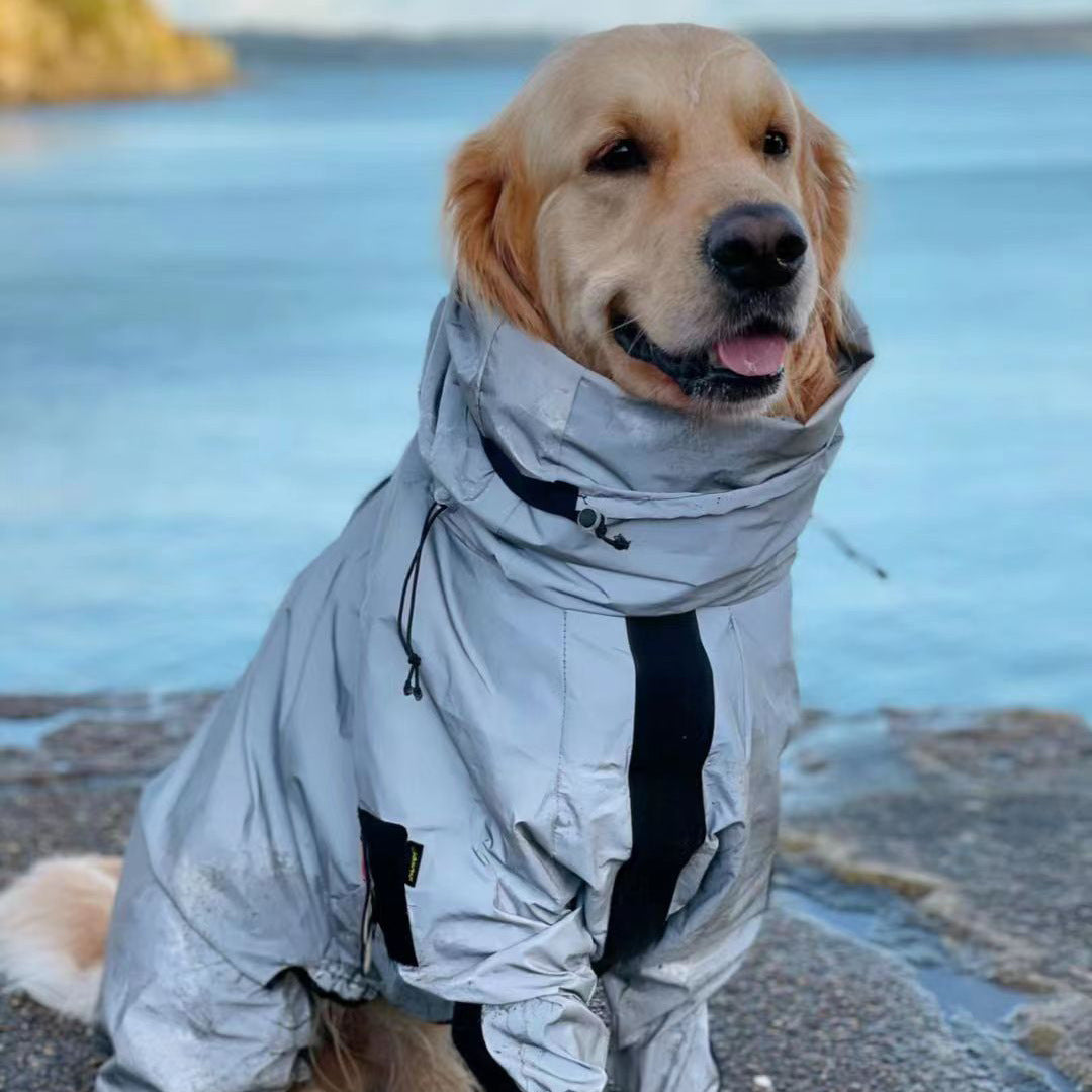 Dog raincoat product flat lay
