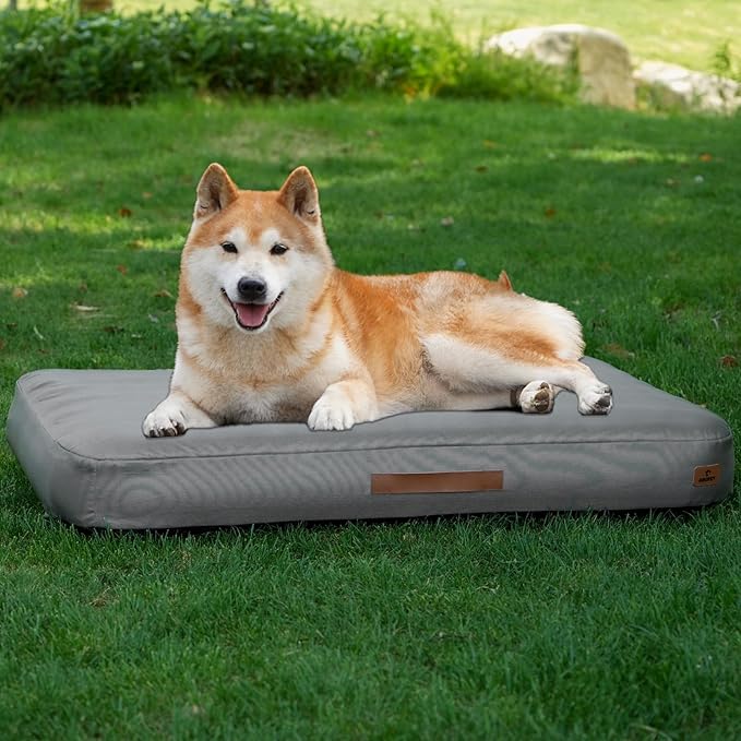 Inflatable dog bed feature highlights