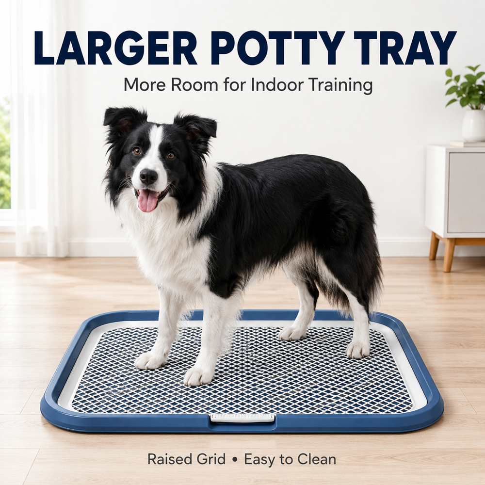 Leak-proof puppy potty training tray with removable mesh grid