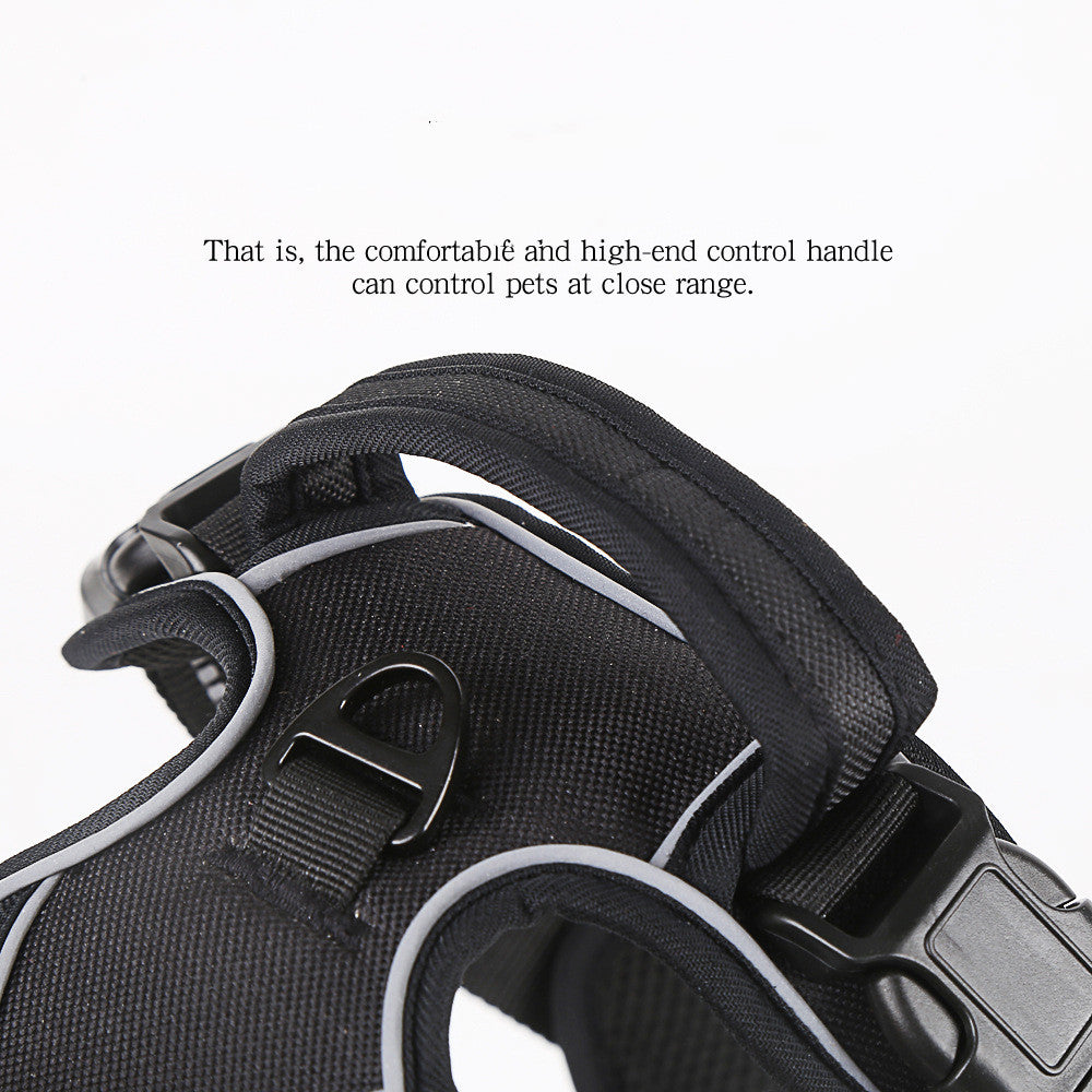 No-Pull Reflective Dog Harness - lifestyle photo, dog on walk