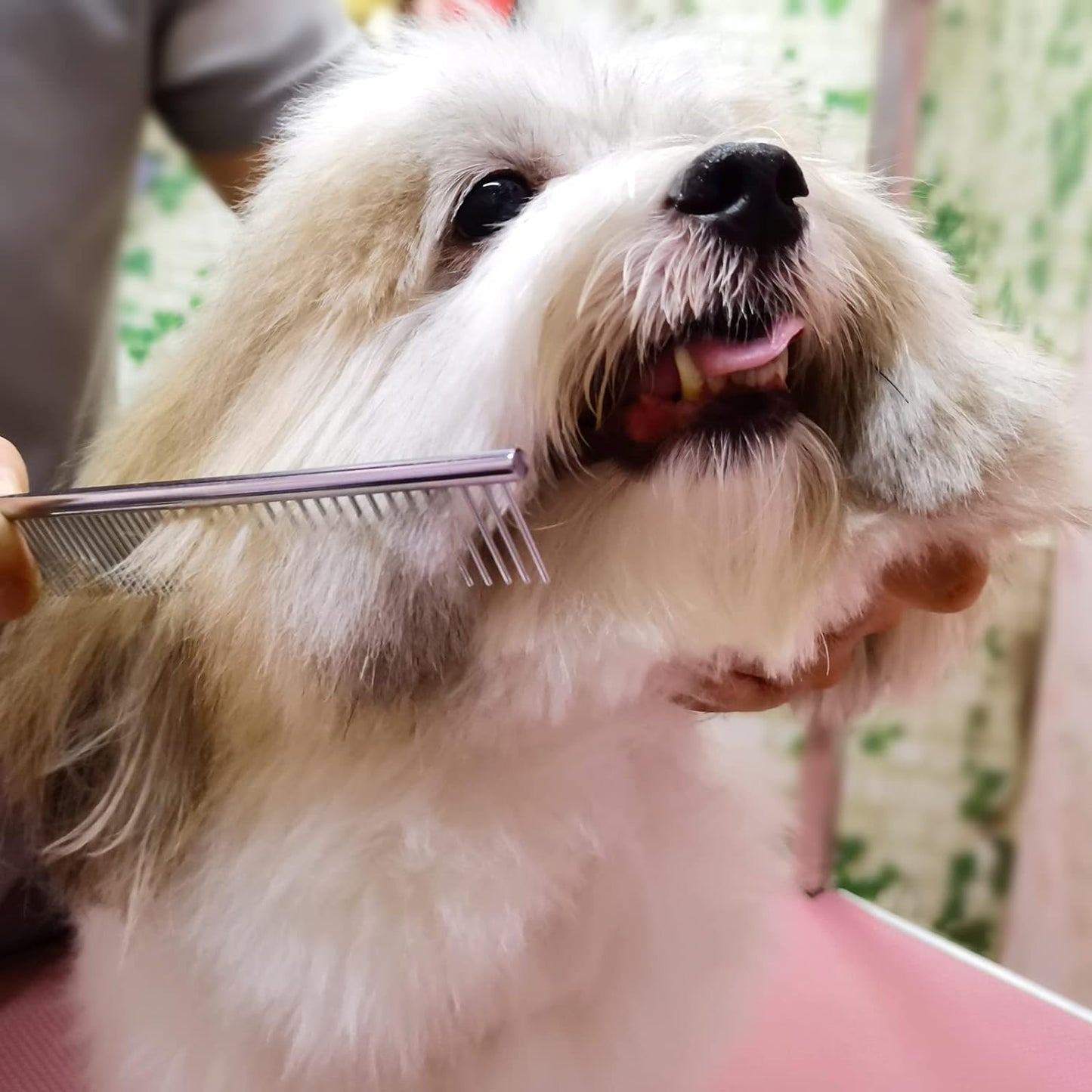 Grooming scissors with rounded safety tips for pets
