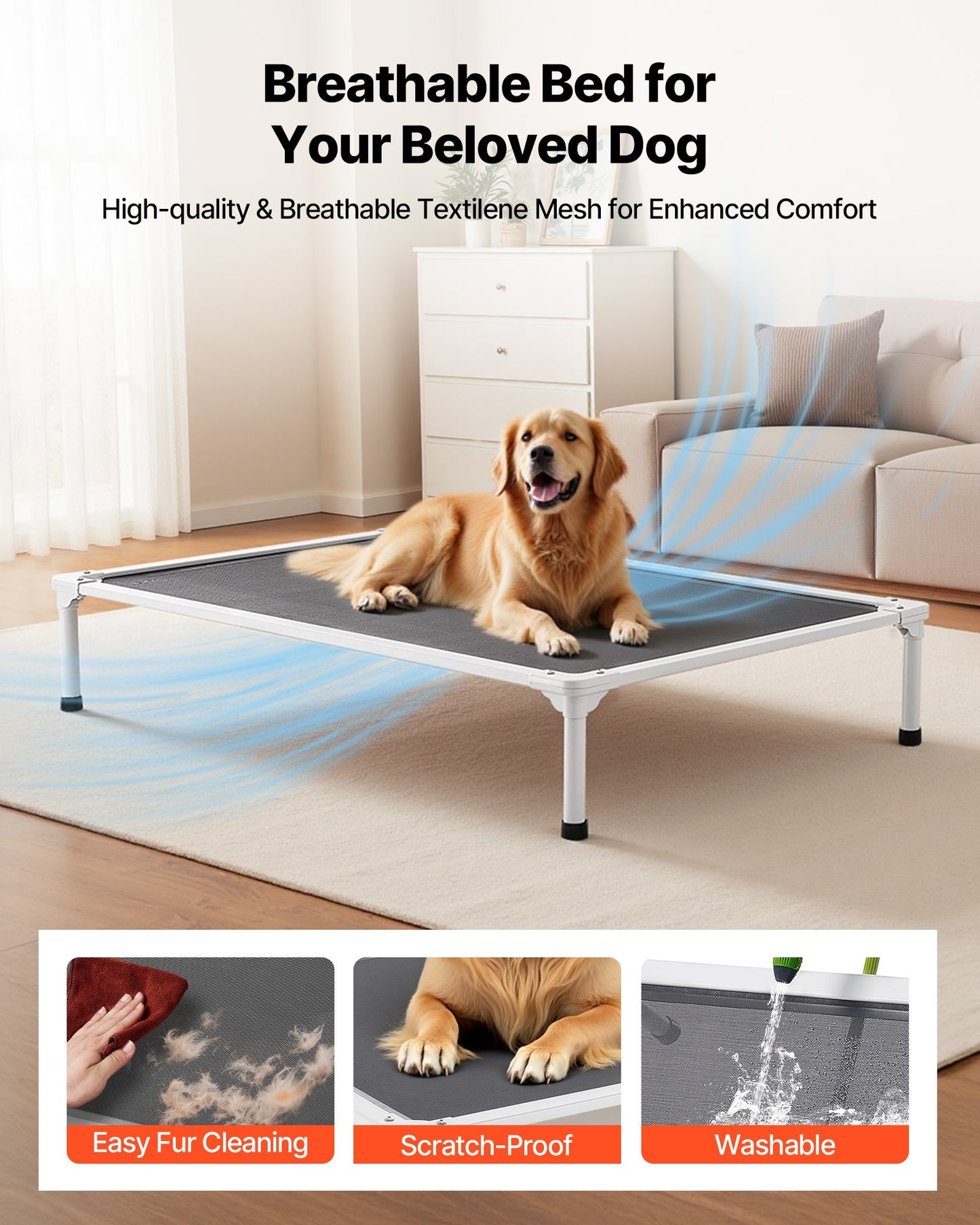 Raised dog cot keeping pet cool and off the floor