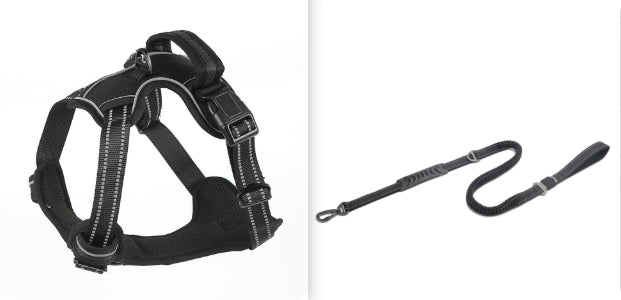 No-Pull Reflective Dog Harness - front view
