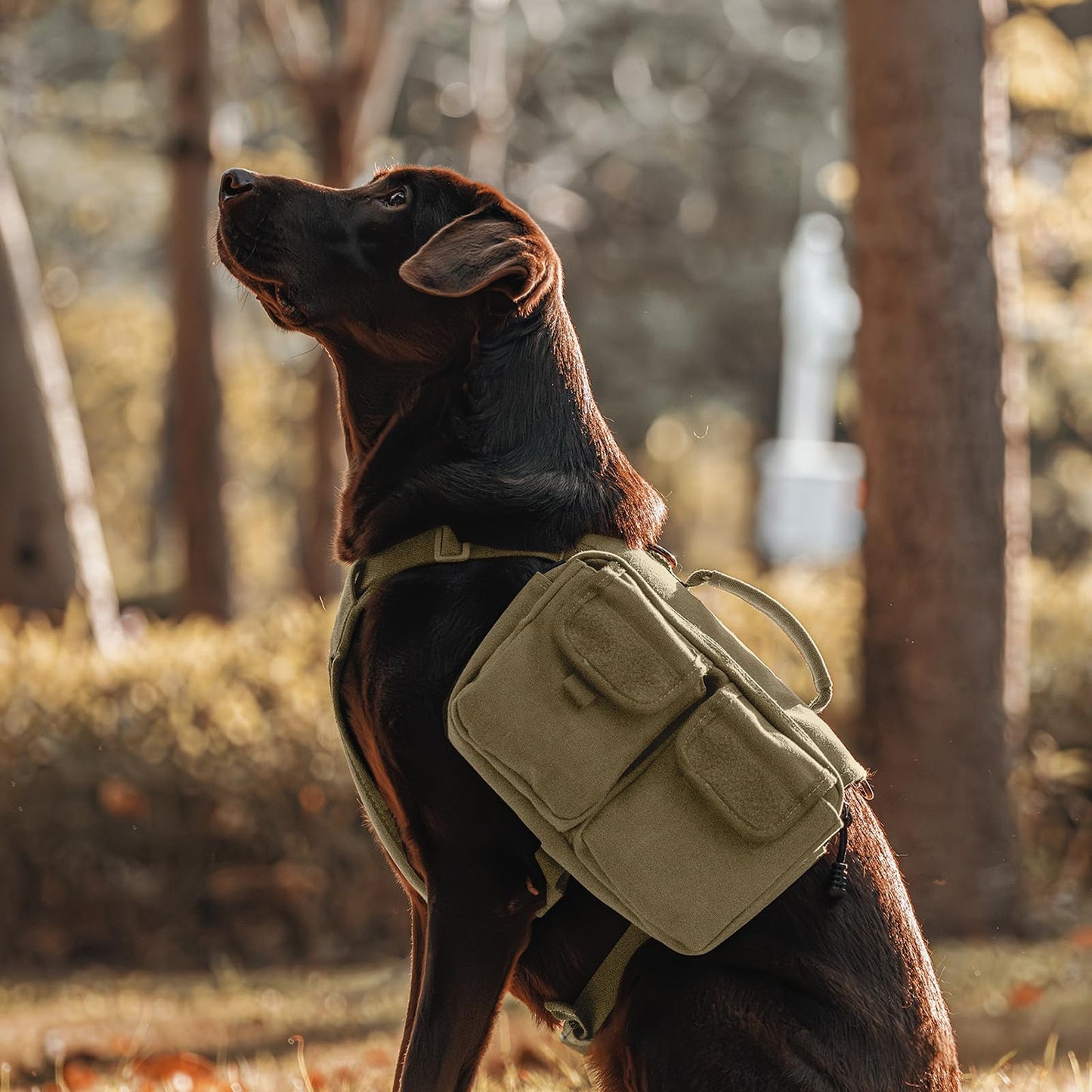 Adventure Saddle Bag Backpack for Dogs