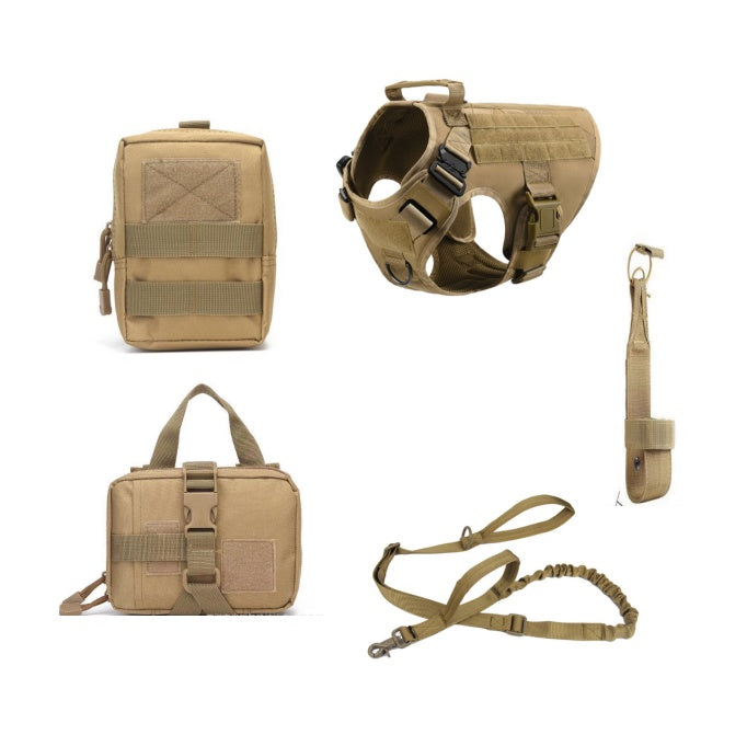 Tactical Trail Harness & Leash Set - reinforced buckle detail