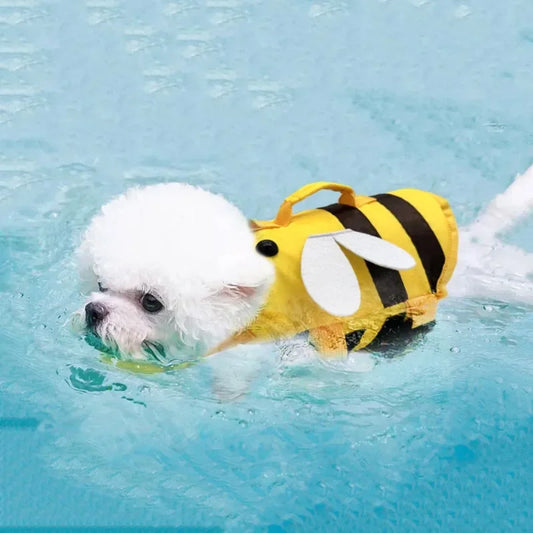 Dog wearing reflective life jacket swimming