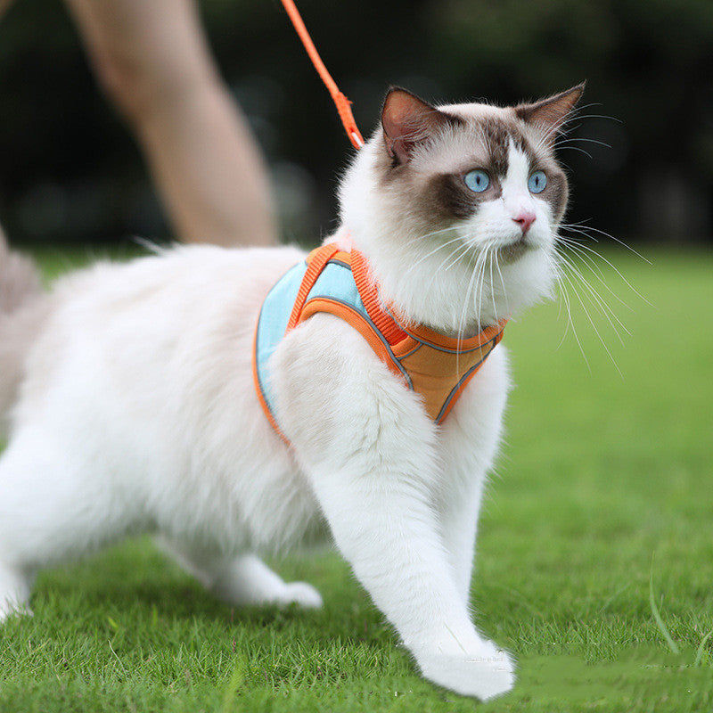 Anti-Escape Reflective Cat Harness detail view