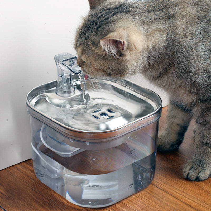 Pet water fountain filtered drinking dispenser