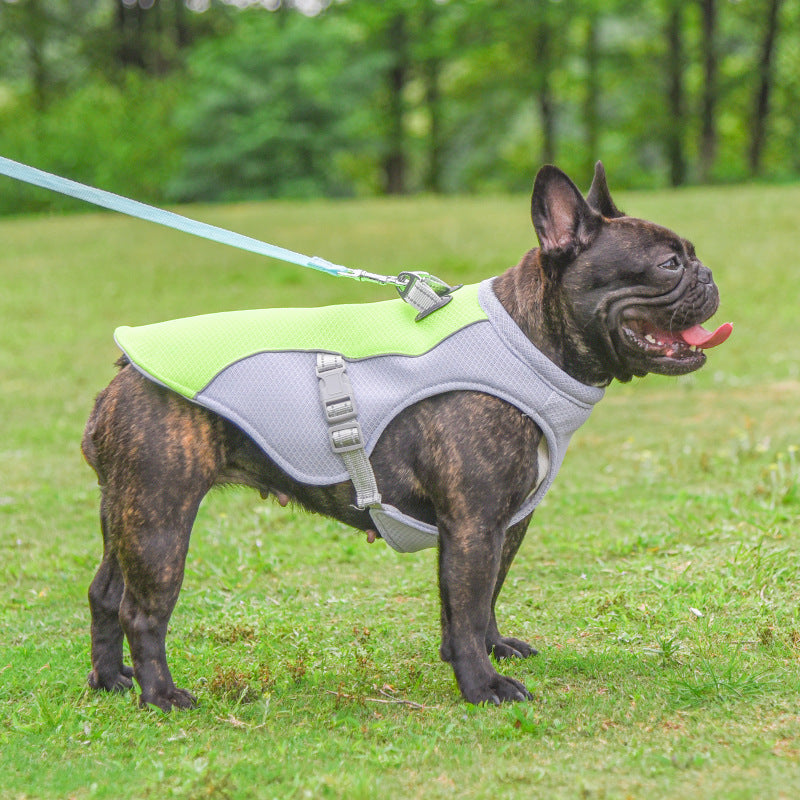 Evaporative Cooling Vest for Dogs