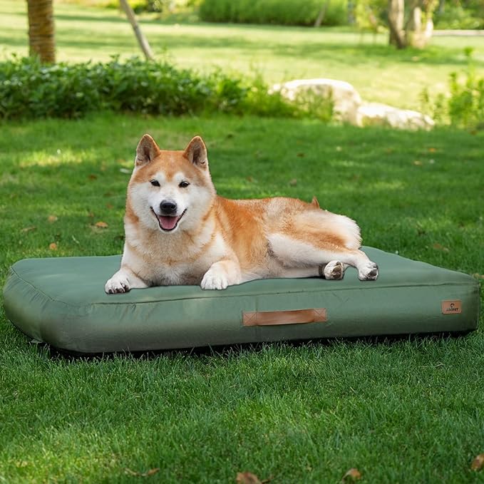 Green inflatable dog travel bed XL size